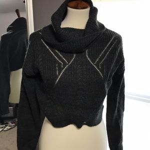 Express Cropped sweater